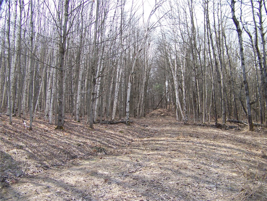 191 West St Extension Oneonta, NY 13820 - Photo 9 of 10