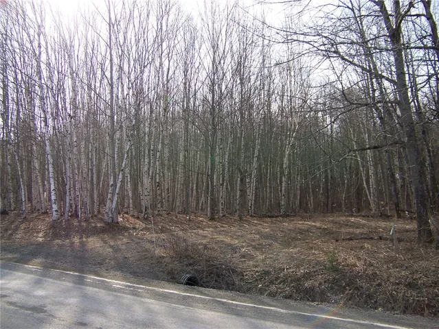 $93,700 | 191 West St Extension, Oneonta, NY 13820