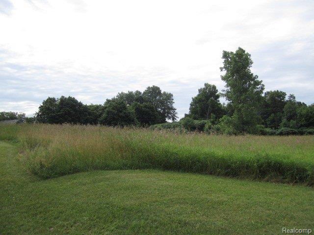 5445 37 Mile Road Romeo, MI 48065 - Photo 22 of 23 5445 37 Mile Road - Vacant Land2
