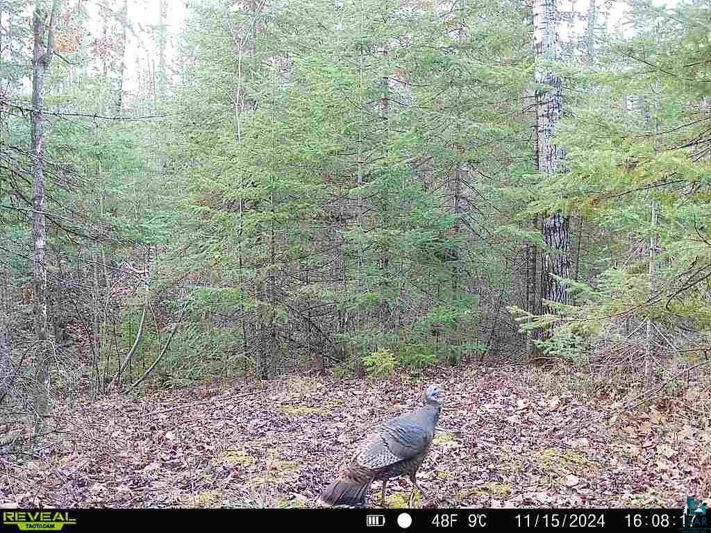 6692 County Rd C South Range, WI 54874 - Photo 33 of 33