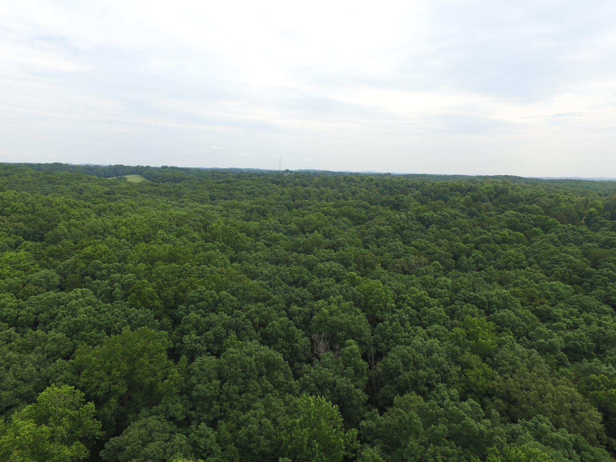 775 Mill Creek Road Corbin, KY 40701 - Photo 69 of 73 IMG_4771