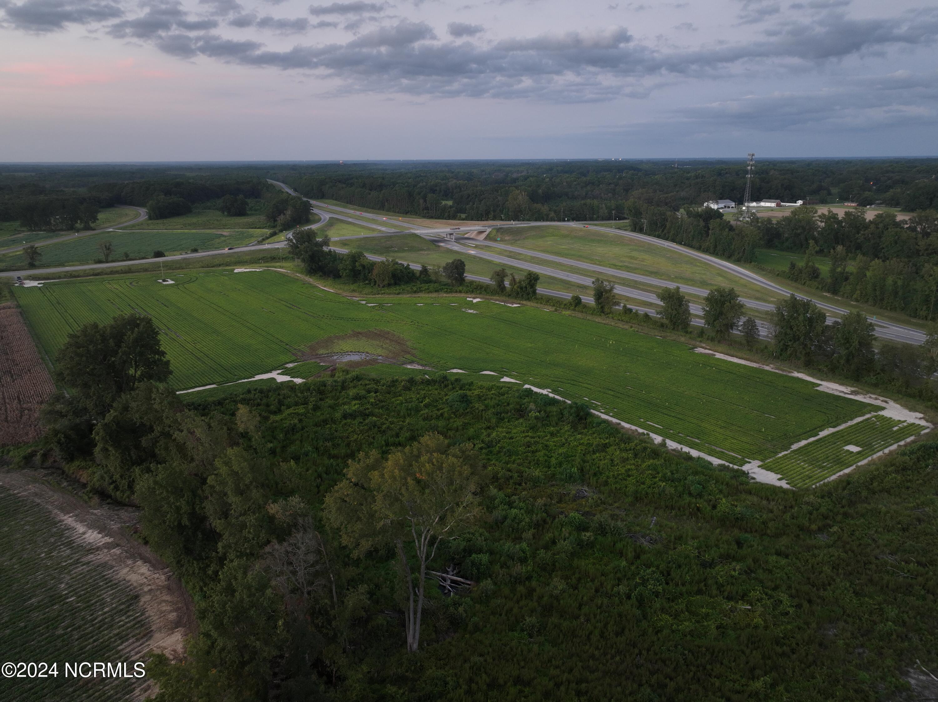 391 Oberry Road Dudley, NC 28333 - Photo 3 of 7 DJI_0012
