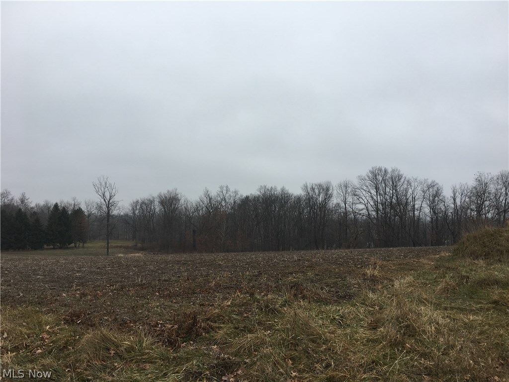 4597 Foote Road Medina, OH 44256 - Photo 18 of 21 Gallery Image 18