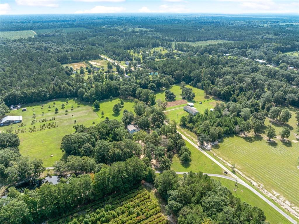 79100 Crump Road Bush, LA 70431 - Photo 15 of 24