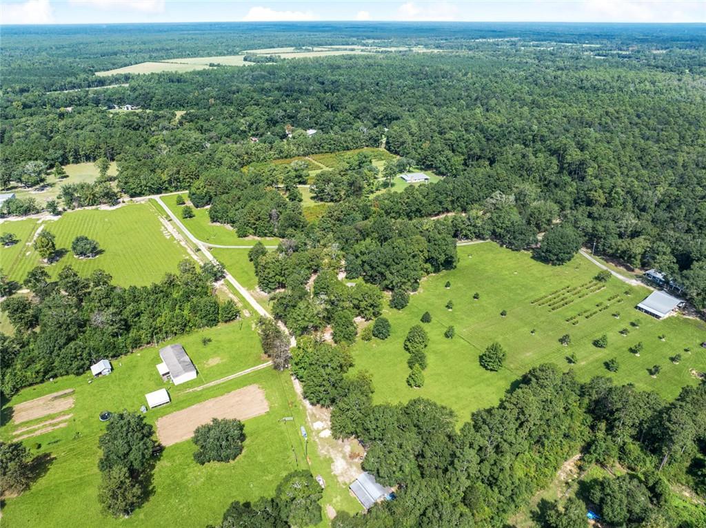 79100 Crump Road Bush, LA 70431 - Photo 18 of 24