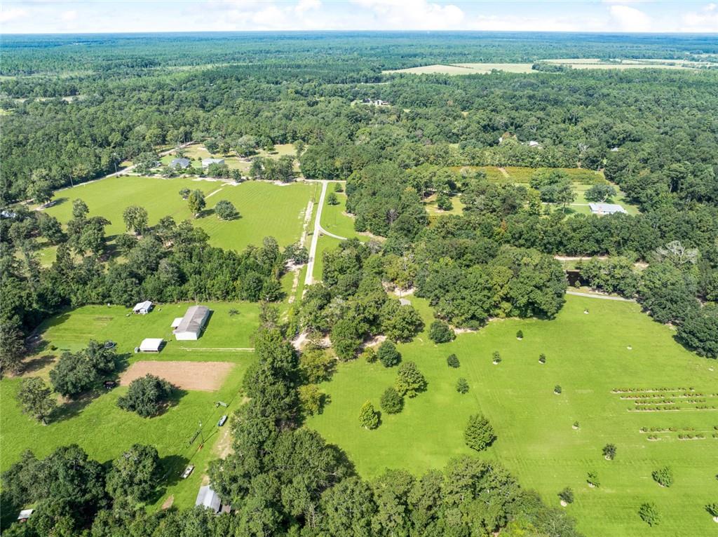 79100 Crump Road Bush, LA 70431 - Photo 19 of 24