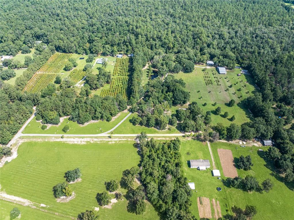 79100 Crump Road Bush, LA 70431 - Photo 20 of 24