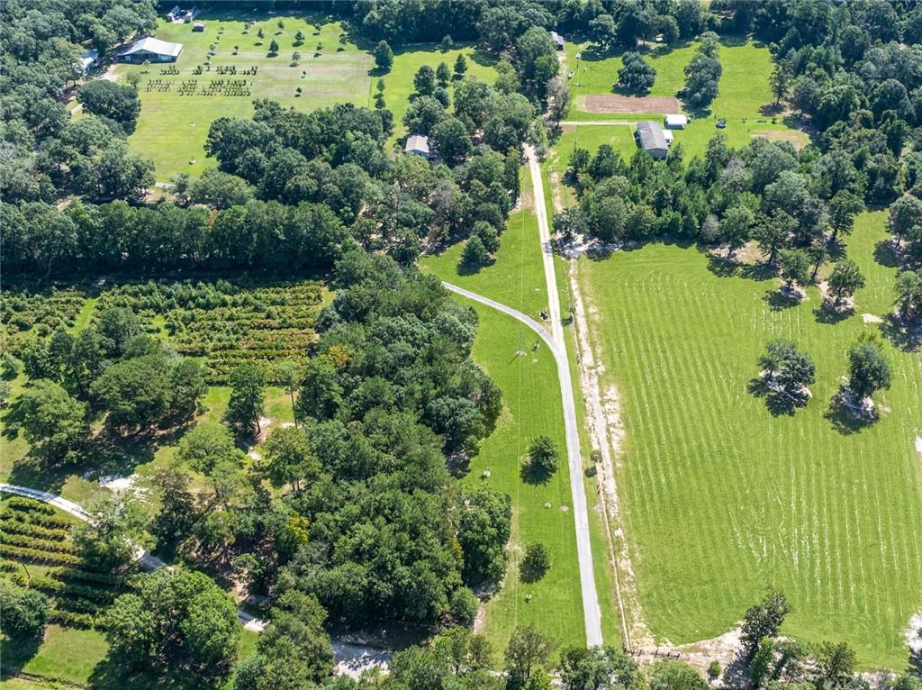 79100 Crump Road Bush, LA 70431 - Photo 23 of 24