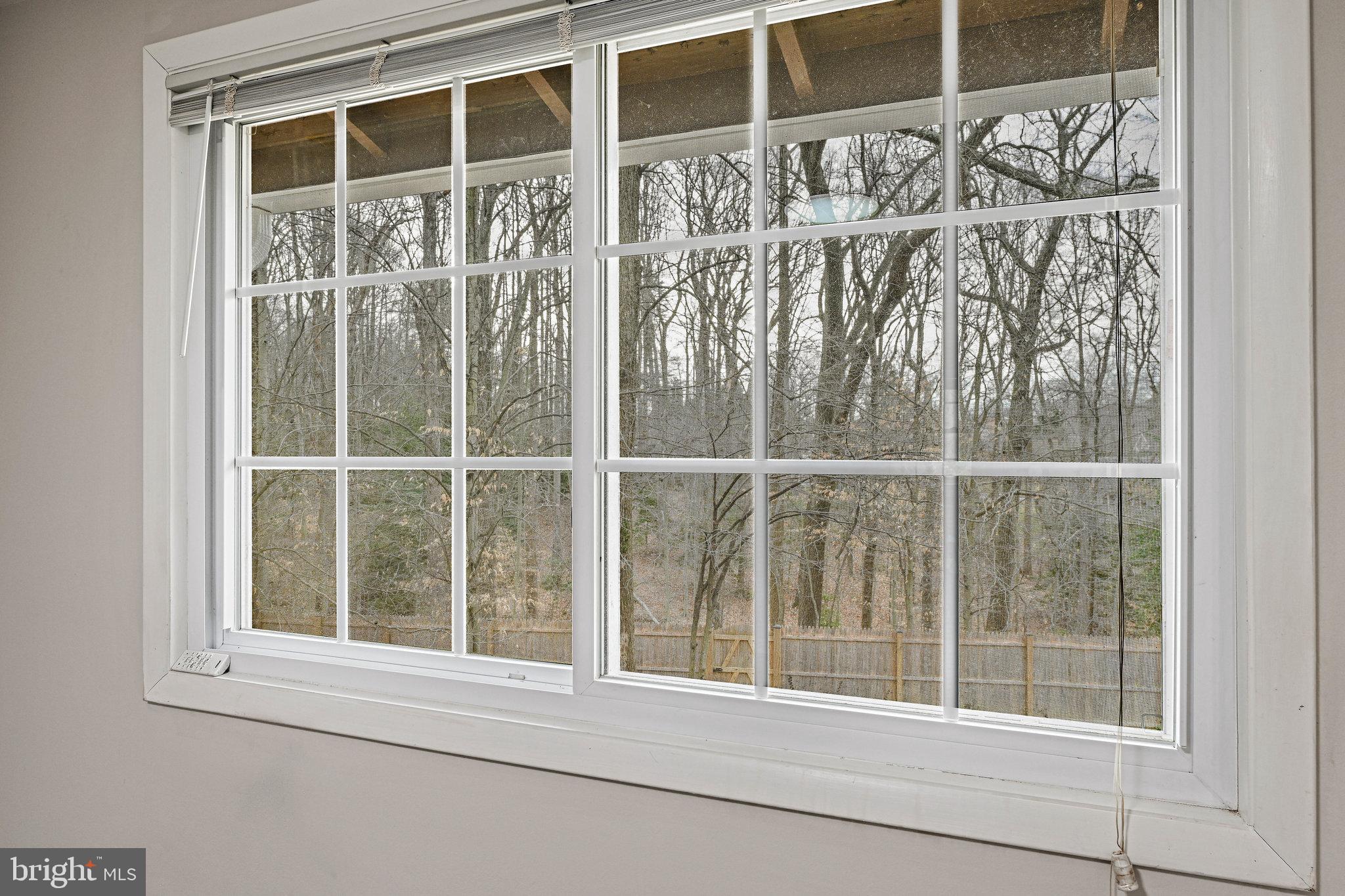 7925 Orange Plank Road Springfield, VA 22153 - Photo 18 of 43 What a private wooded view!