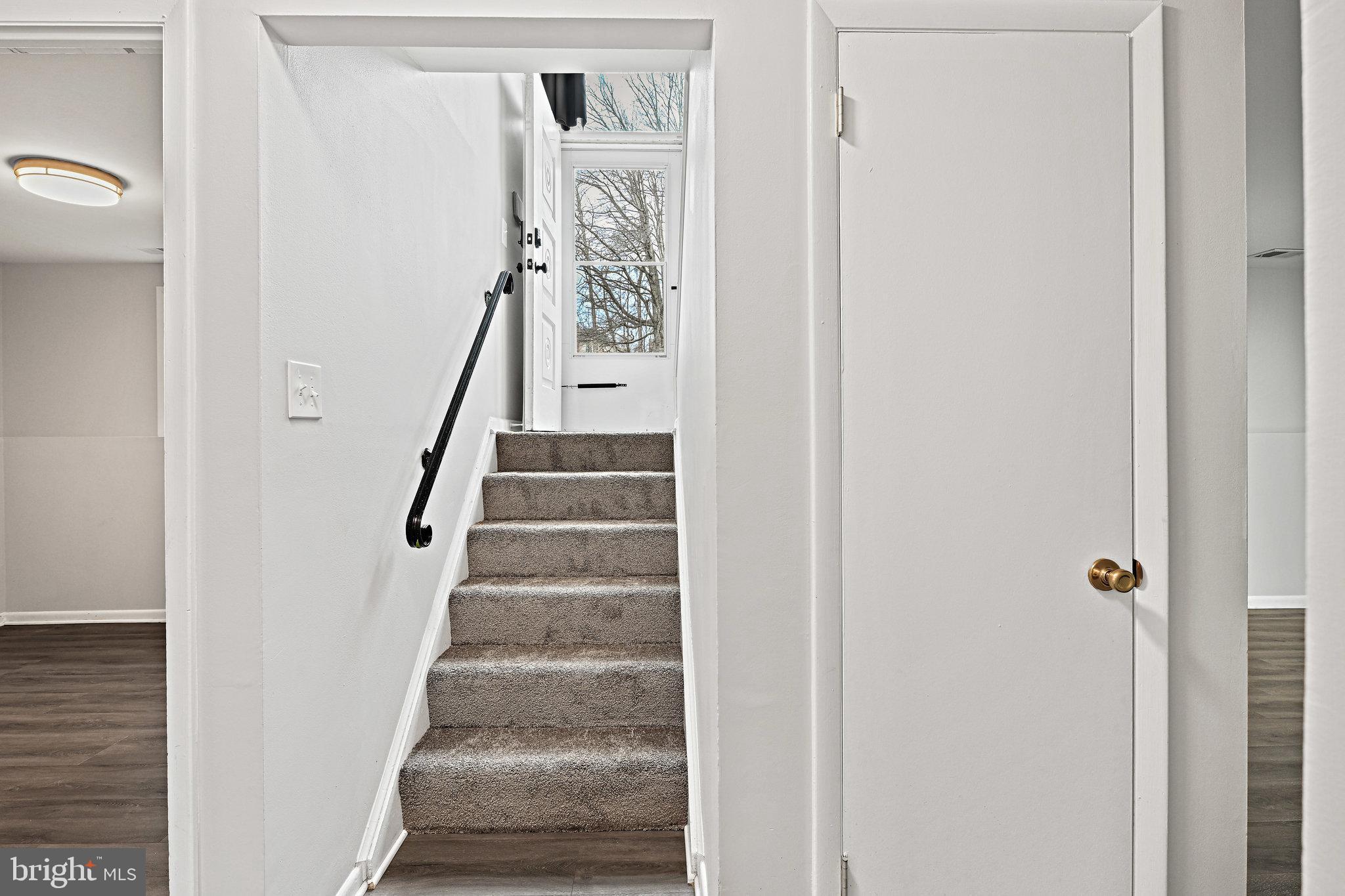 7925 Orange Plank Road Springfield, VA 22153 - Photo 31 of 43 New carpet on stairs