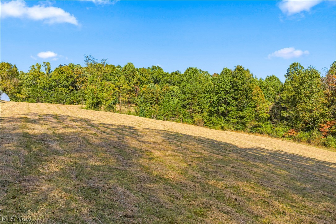 202 Mount Carmel Road Walker, WV 26180 - Photo 12 of 25 Gallery Image 12
