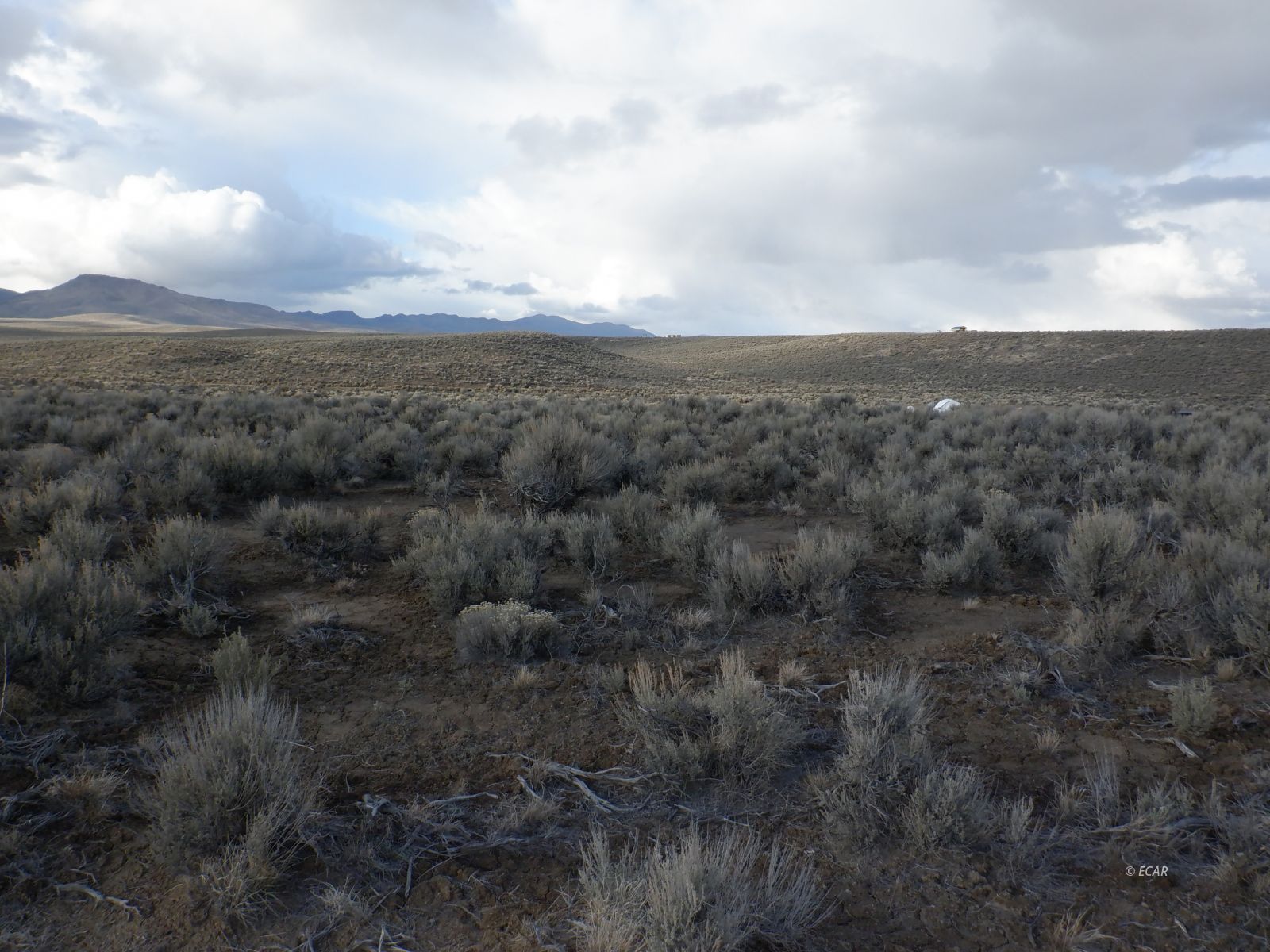 33-3 7th Street Elko, NV 89801 - Photo 9 of 15