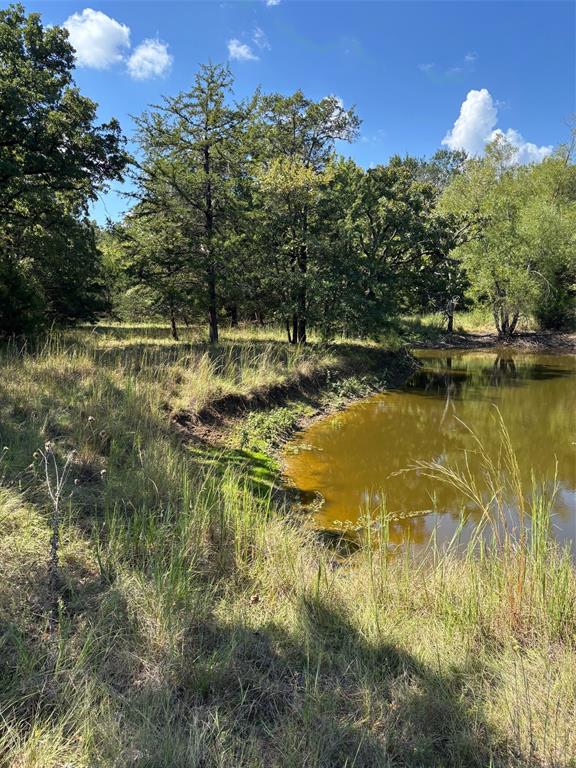 10236 County Road 2326, Unit TRACT 1 Terrell, TX 75160 - Photo 16 of 19 a view of a lake with a mountain
