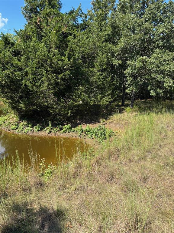 10236 County Road 2326, Unit TRACT 1 Terrell, TX 75160 - Photo 18 of 19