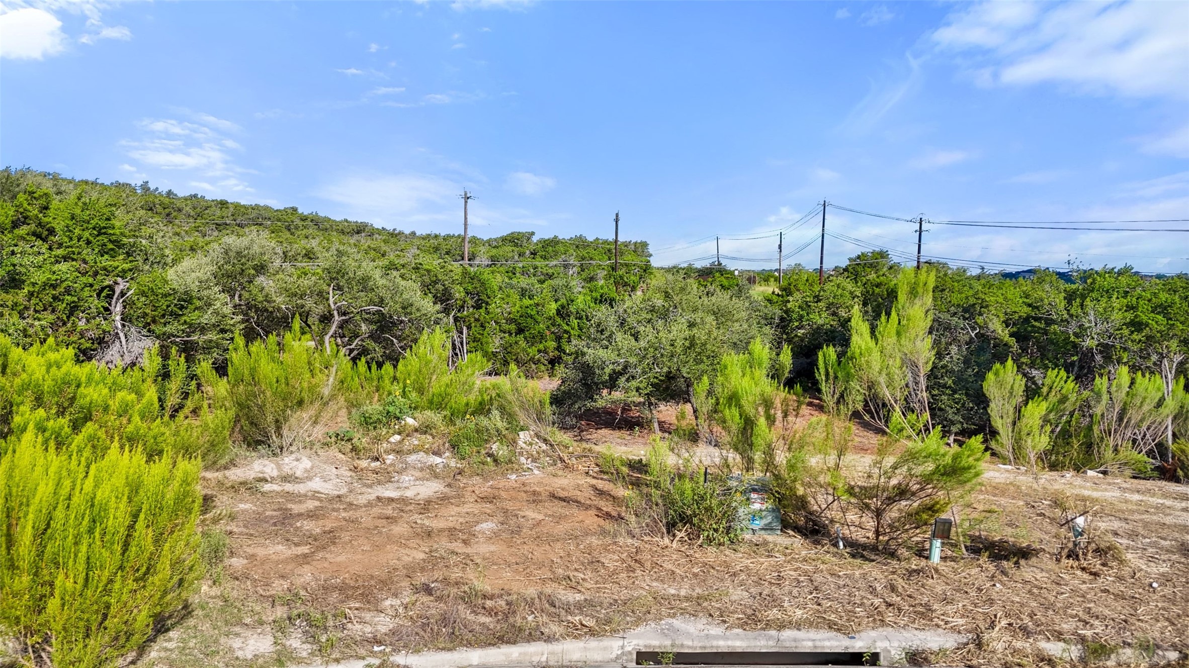 210 Lodestone Cove Austin, TX 78738 - Photo 12 of 32