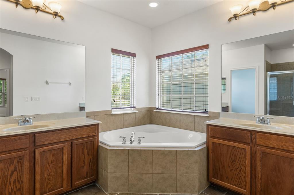 13544 Riggs Way Windermere, FL 34786 - Photo 36 of 58 a bathroom with a granite countertop sink and a bathtub