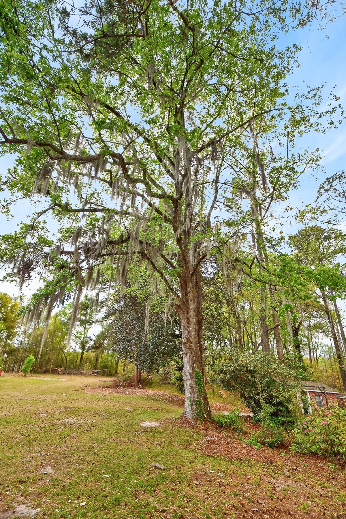 3643 Char-Augusta Road Bamberg, SC 29003 - Photo 34 of 55 HU-68