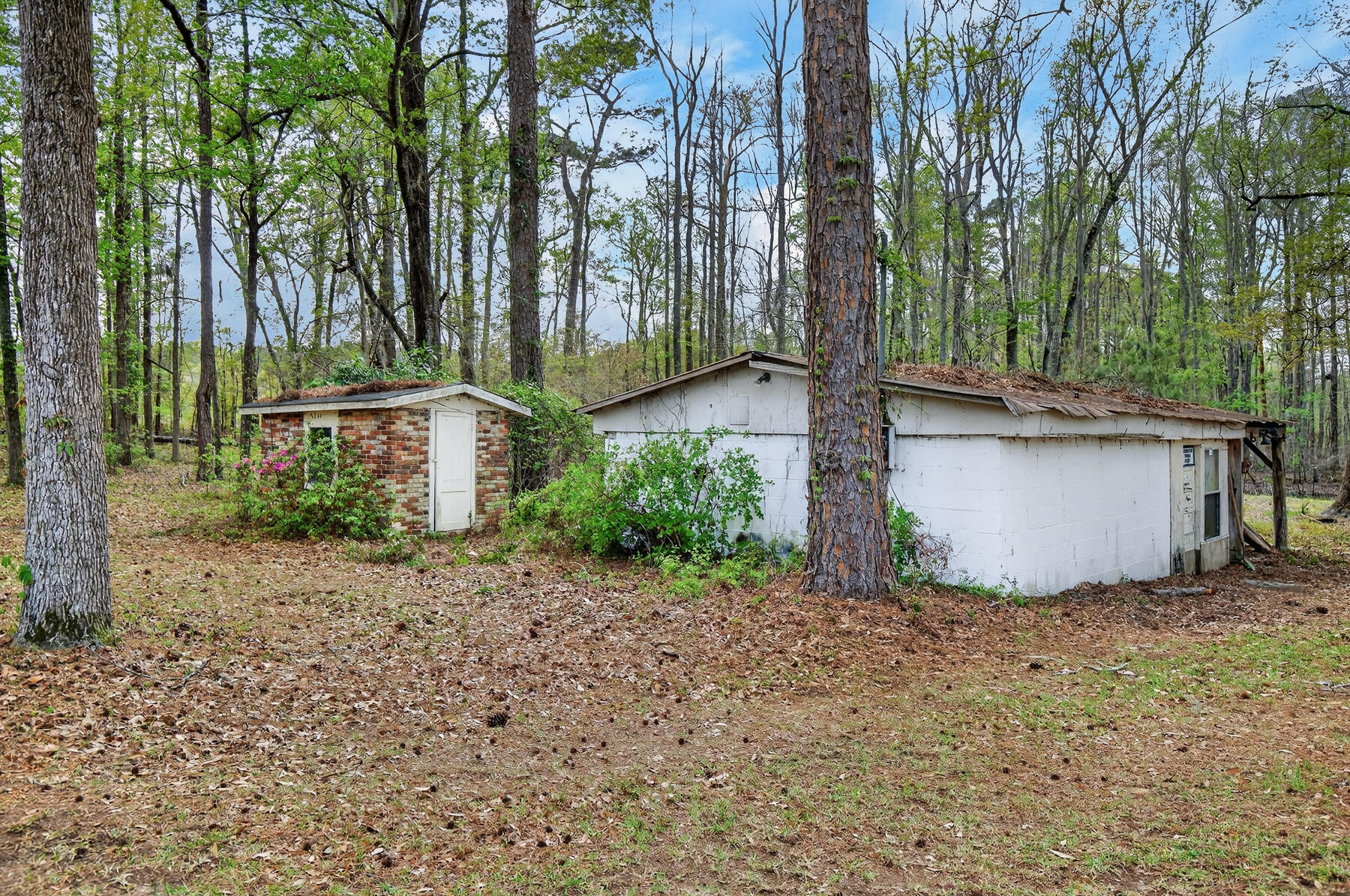 3643 Char-Augusta Road Bamberg, SC 29003 - Photo 45 of 55 HU-87