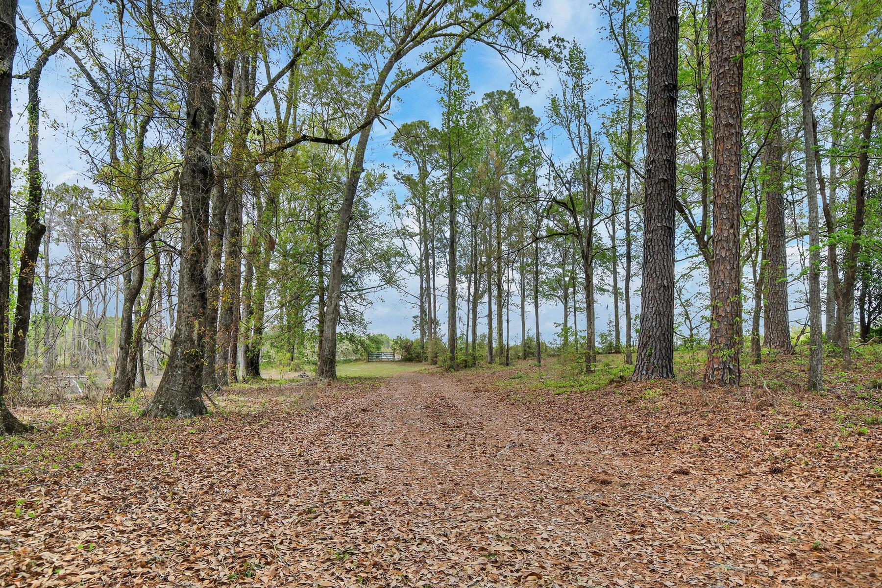 3643 Char-Augusta Road Bamberg, SC 29003 - Photo 47 of 55 HU-89