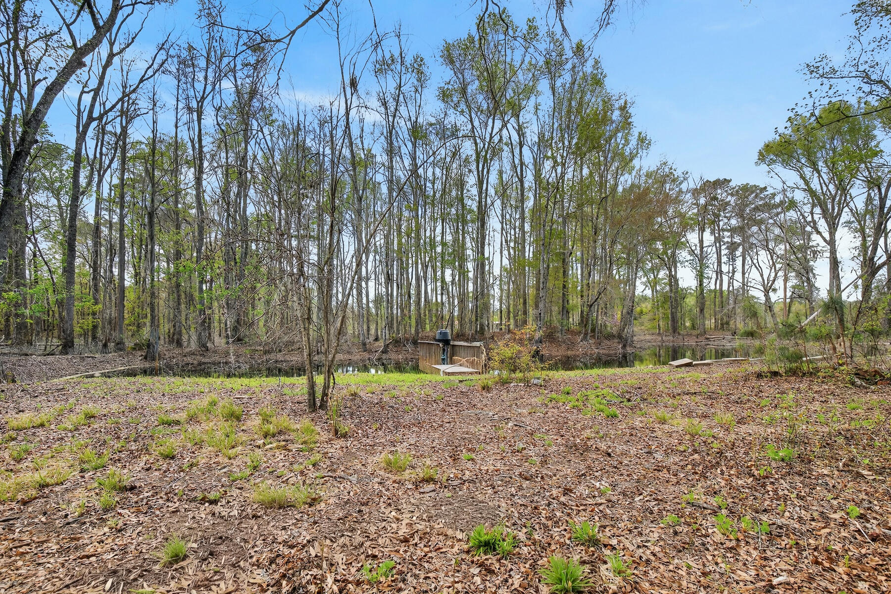 3643 Char-Augusta Road Bamberg, SC 29003 - Photo 48 of 55 HU-90