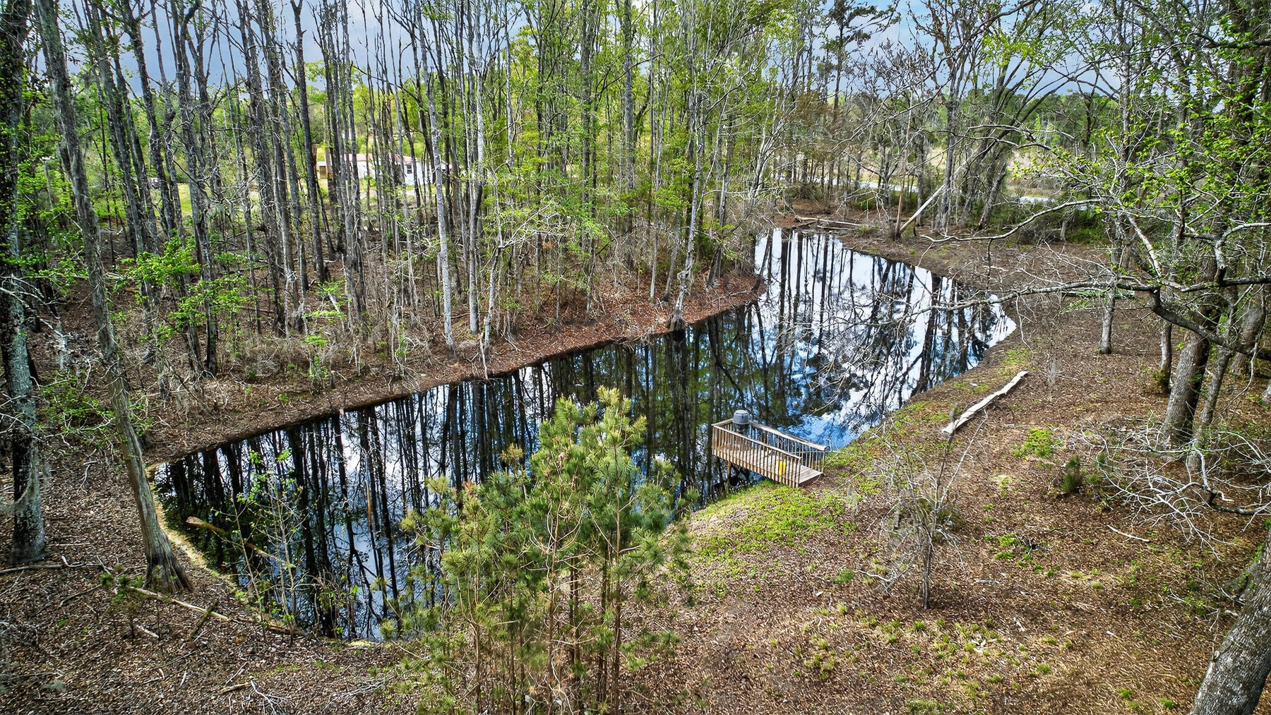 3643 Char-Augusta Road Bamberg, SC 29003 - Photo 51 of 55 HU-101
