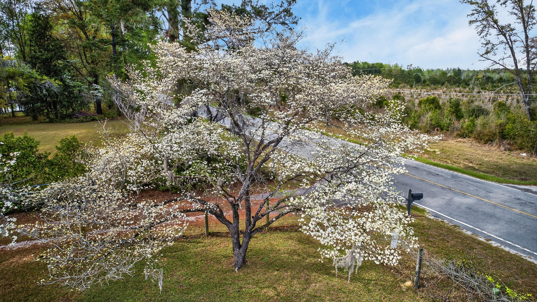 3643 Char-Augusta Road Bamberg, SC 29003 - Photo 52 of 55 HU-93