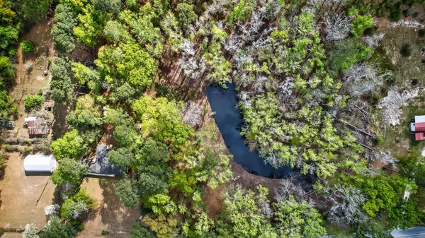 $315,000 | 3643 Char-Augusta Road, Bamberg, SC 29003