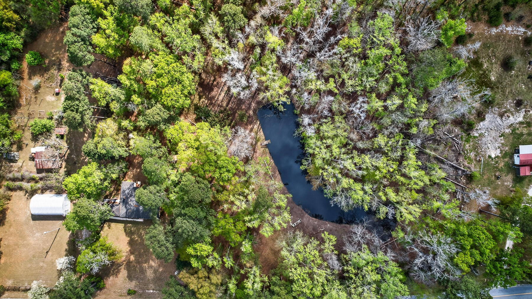 3643 Char-Augusta Road Bamberg, SC 29003 - Photo 55 of 55 HU-98