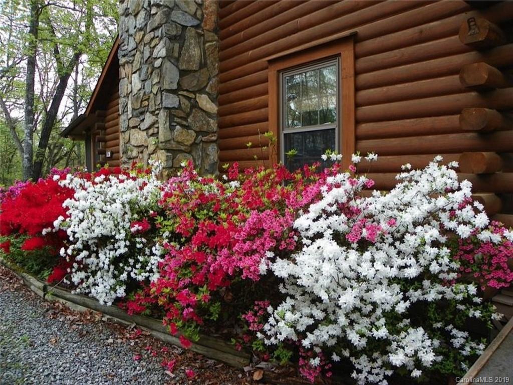 347 Starling Road Lake Lure, NC 28746 - Photo 2 of 29 Gallery Image 2