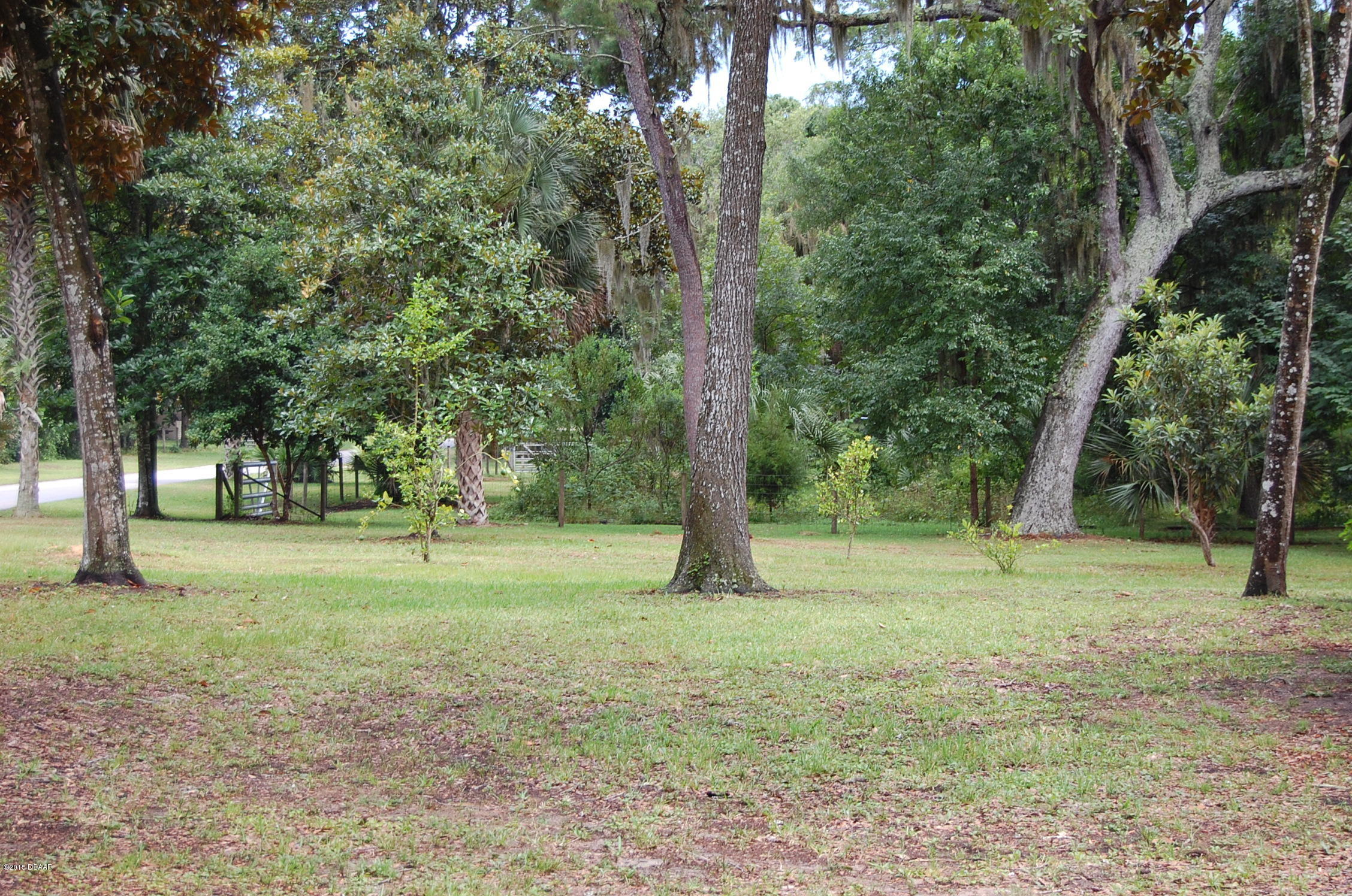 6074 Rutters Road Port Orange, FL 32127 - Photo 10 of 30 DSC_0063 - Copy
