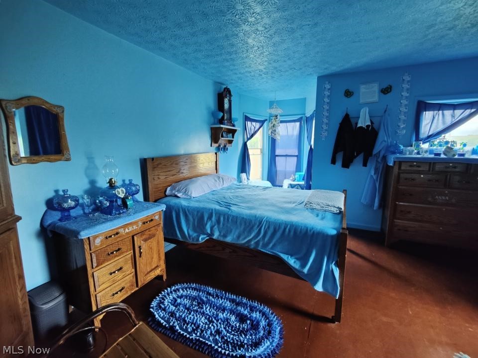 6297 Leon Road Andover, OH 44003 - Photo 4 of 20 bedroom down