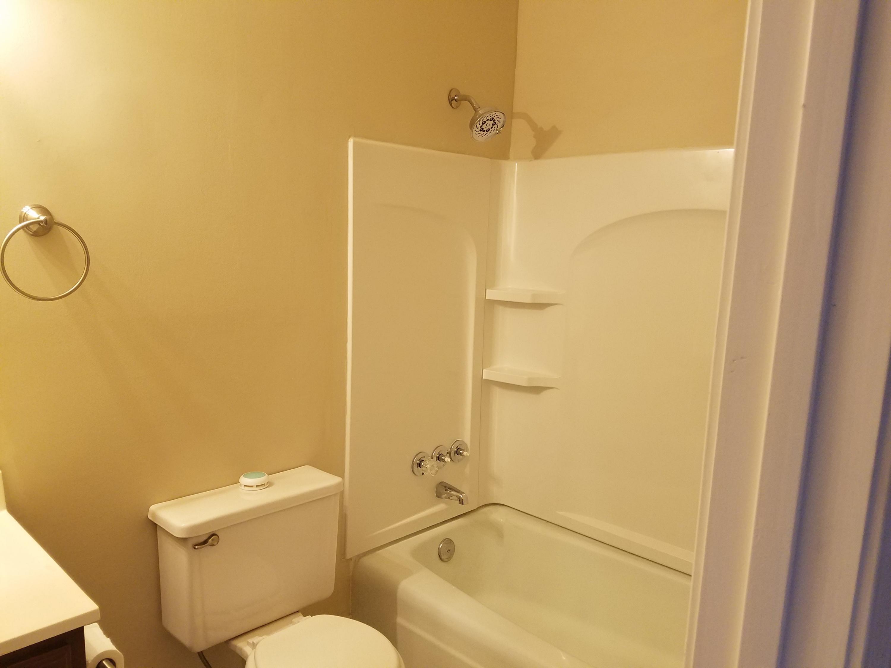3422 Big Springs Ridge Road Friendsville, TN 37737 - Photo 12 of 13 BTH TUB