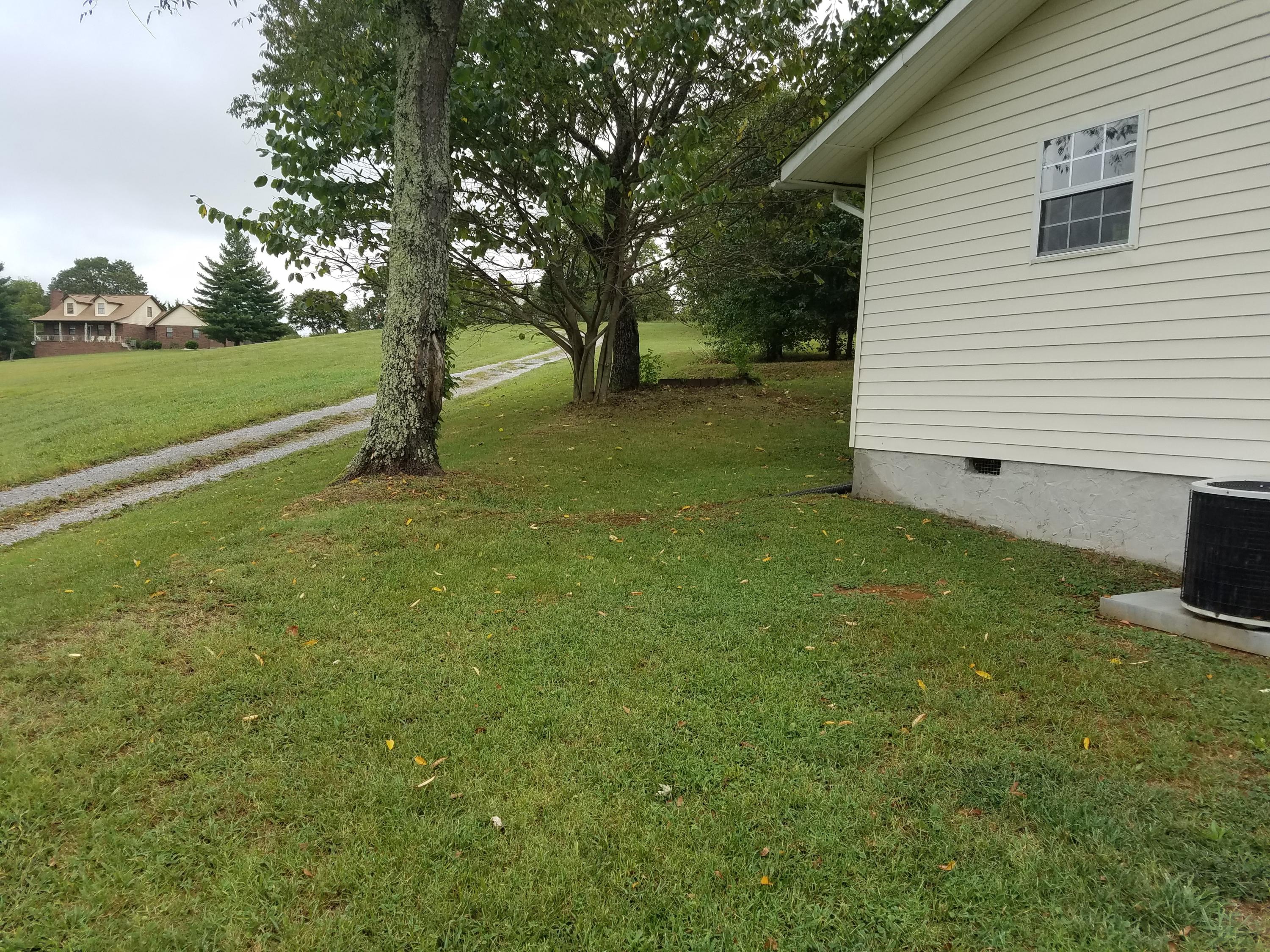 3422 Big Springs Ridge Road Friendsville, TN 37737 - Photo 4 of 13 YRD2