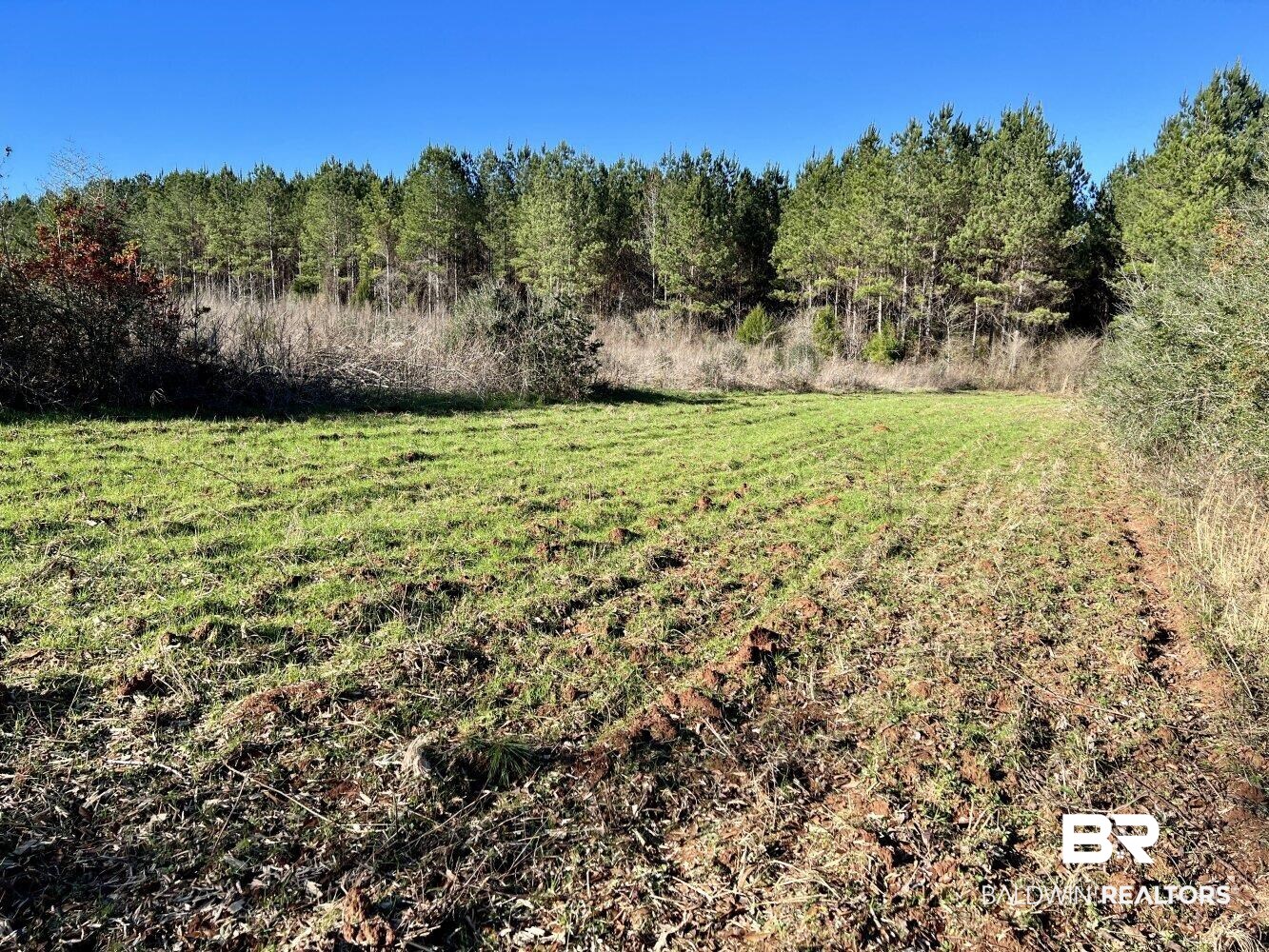 0 Highway 84 Evergreen, AL 36401 - Photo 14 of 50