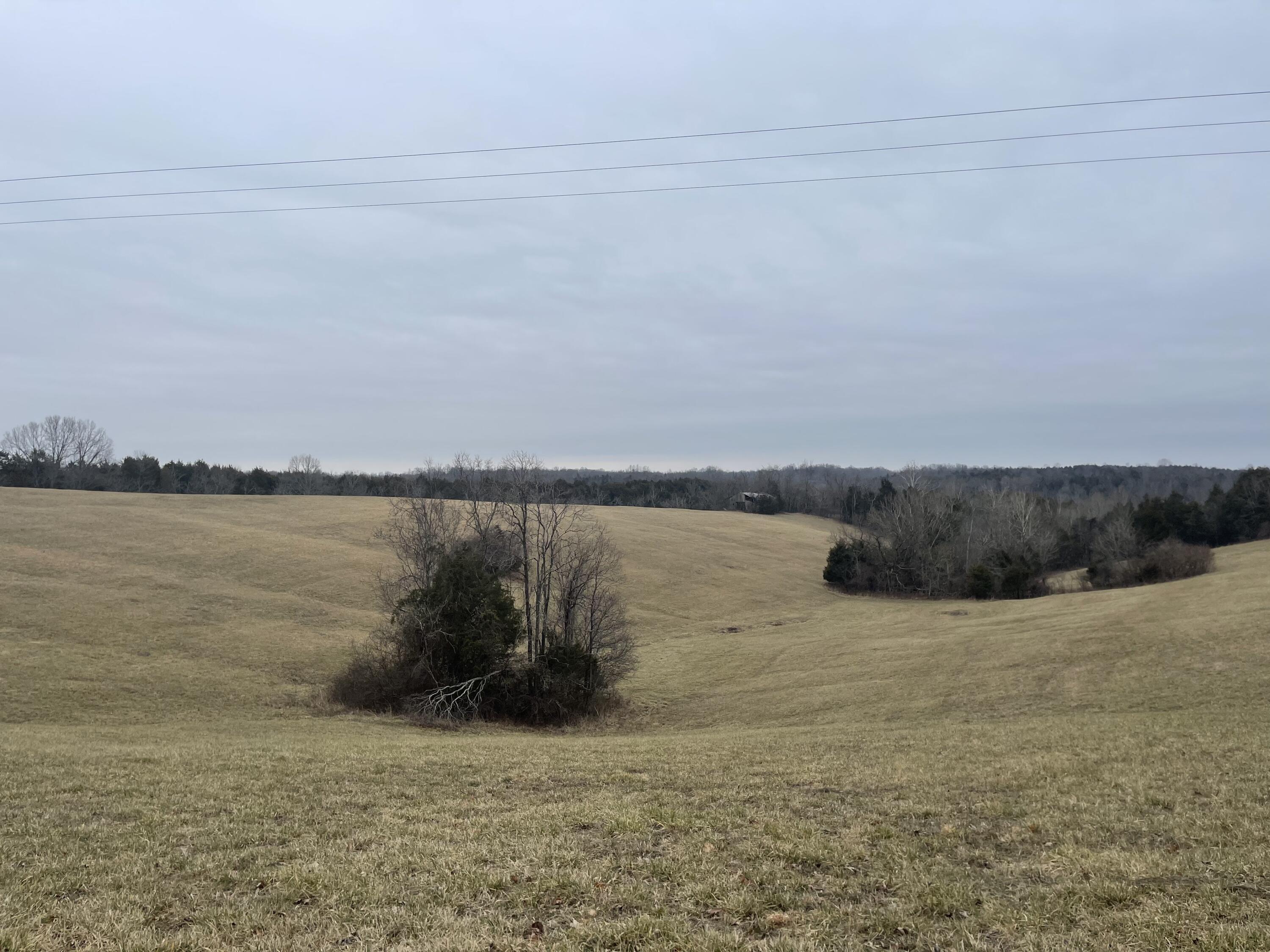 0 Stratton Road Salvisa, KY 40372 - Photo 2 of 9 IMG_7234