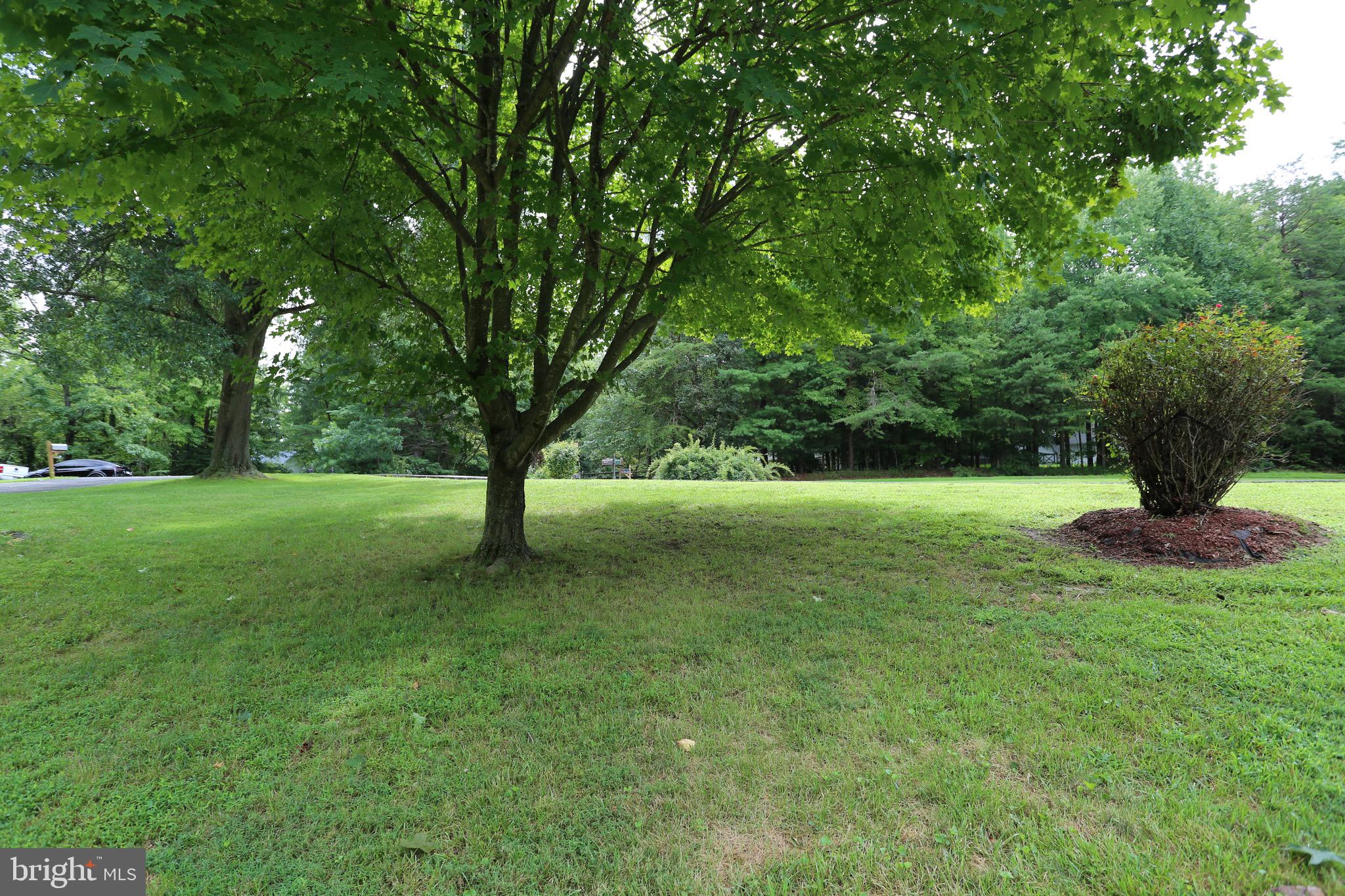 11118 Country Road Dunkirk, MD 20754 - Photo 7 of 43