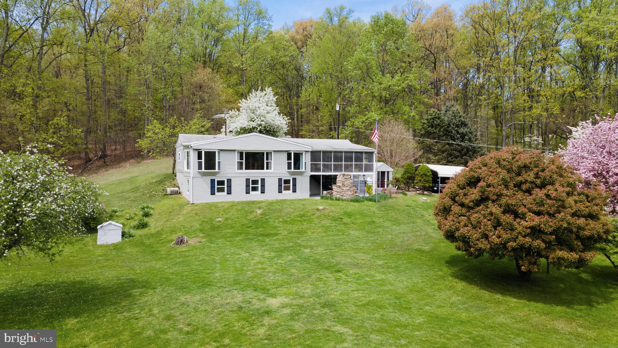 3010 Basford Road Frederick, MD 21703 - Photo 12 of 64 treed and private
