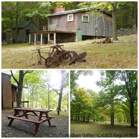 15 Belleayre Ridge Arkville, NY 12406 - Photo 1 of 27 a view of a house with backyard