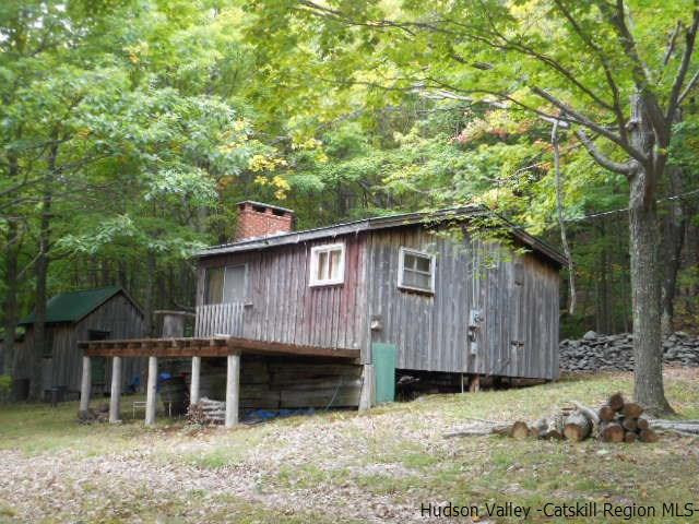 15 Belleayre Ridge Arkville, NY 12406 - Photo 3 of 27 a backyard of a house with barbeque oven