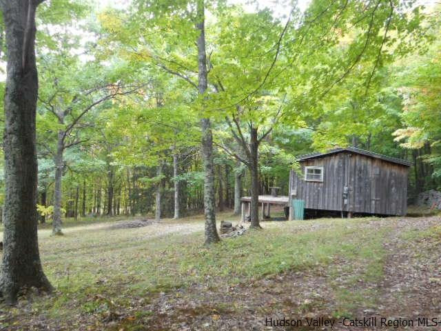 15 Belleayre Ridge Arkville, NY 12406 - Photo 4 of 27 a view of a house with yard and a tree