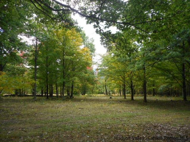 15 Belleayre Ridge Arkville, NY 12406 - Photo 5 of 27 a view of outdoor space with deck and yard