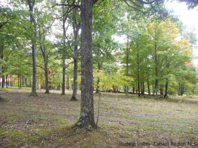 15 Belleayre Ridge Arkville, NY 12406 - Photo 7 of 27 a view of a yard with trees