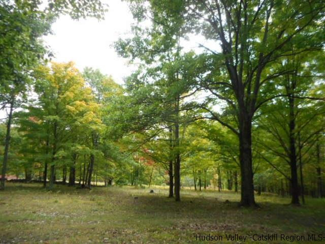 15 Belleayre Ridge Arkville, NY 12406 - Photo 9 of 27 a backyard of a house with lots of trees