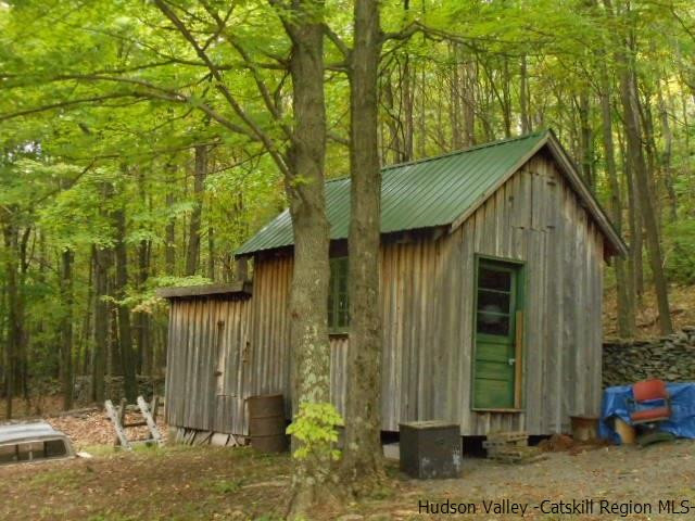15 Belleayre Ridge Arkville, NY 12406 - Photo 10 of 27 a backyard of a house