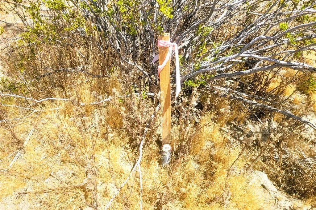 7 Beekley Road Phelan, CA 92371 - Photo 15 of 15 Marker