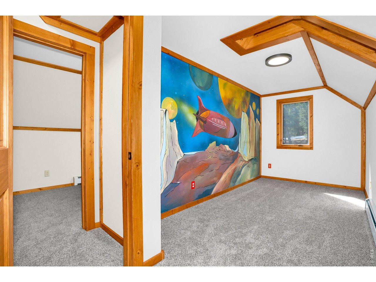 251 Haugen Slide Road Allenspark, CO 80510 - Photo 25 of 42