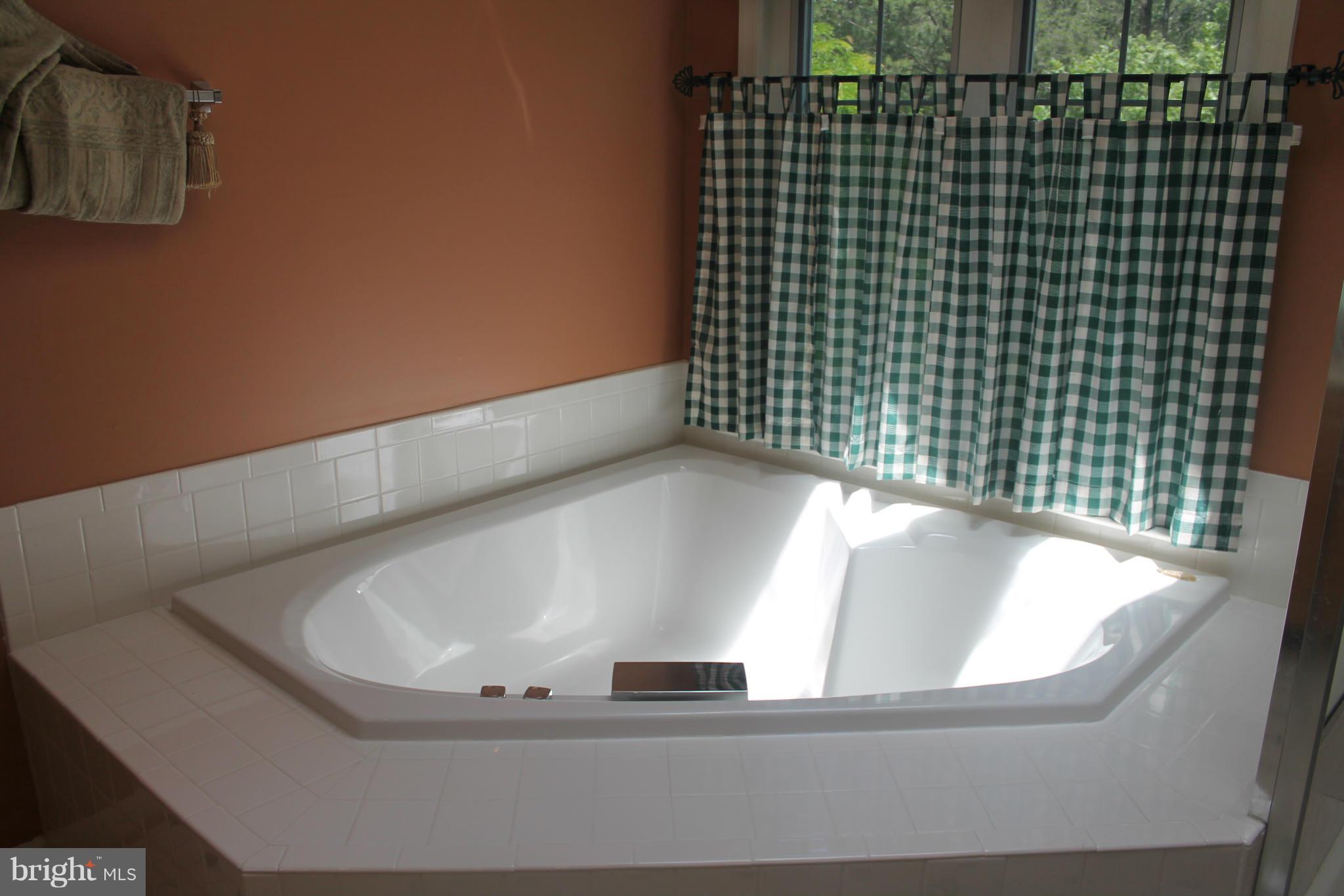 11004 Snowden Pond Road Laurel, MD 20708 - Photo 22 of 27 Bath (Master)