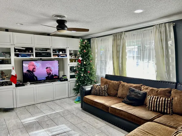 a living room with furniture and a potted plant