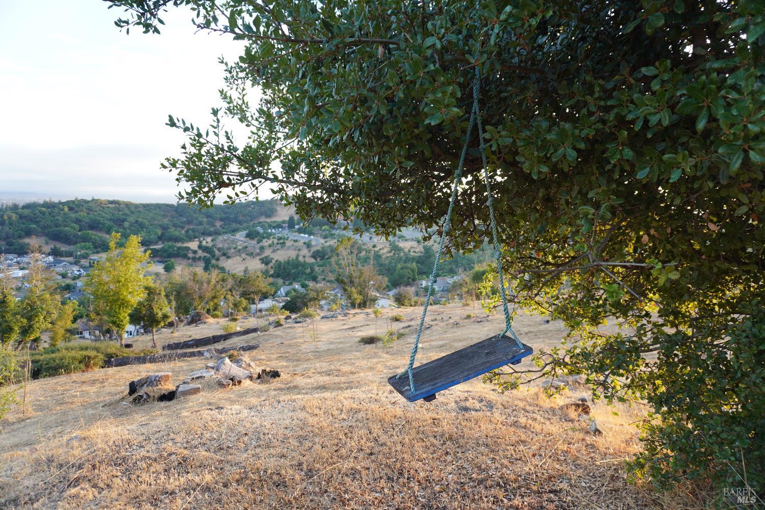 3638 Bellagio Court Santa Rosa, CA 95404 - Photo 8 of 25 a view of a tree with a yard