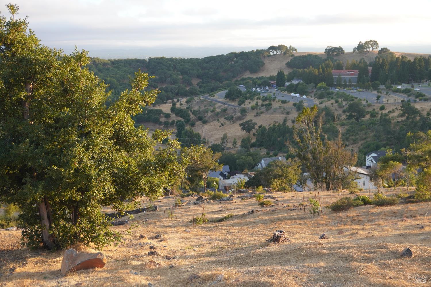 3638 Bellagio Court Santa Rosa, CA 95404 - Photo 9 of 25 a view of a yard with wooden fence